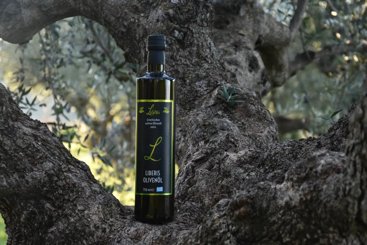 Flasche Liberis Olivenöl in einem alten Olivenbaum