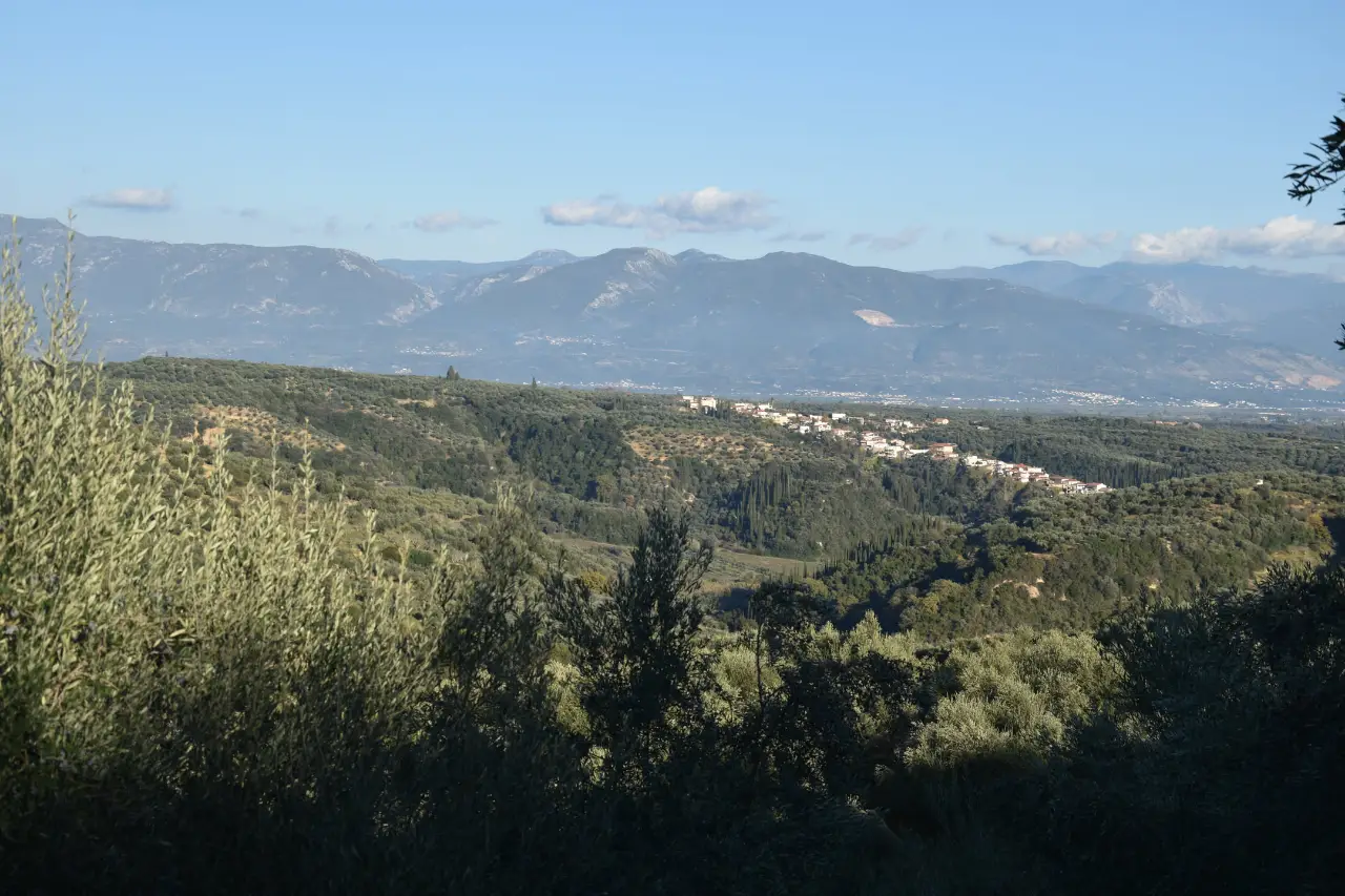 Blick über die Olivenhaine auf das Dorf und die Berge