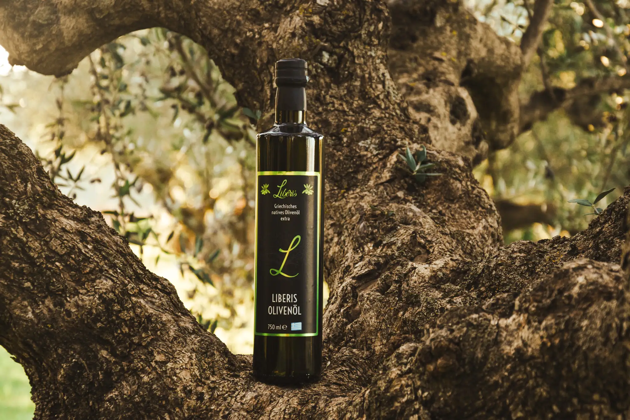 Flasche Liberis Olivenöl – griechisches natives Olivenöl extra – präsentiert auf einem alten Olivenbaum.