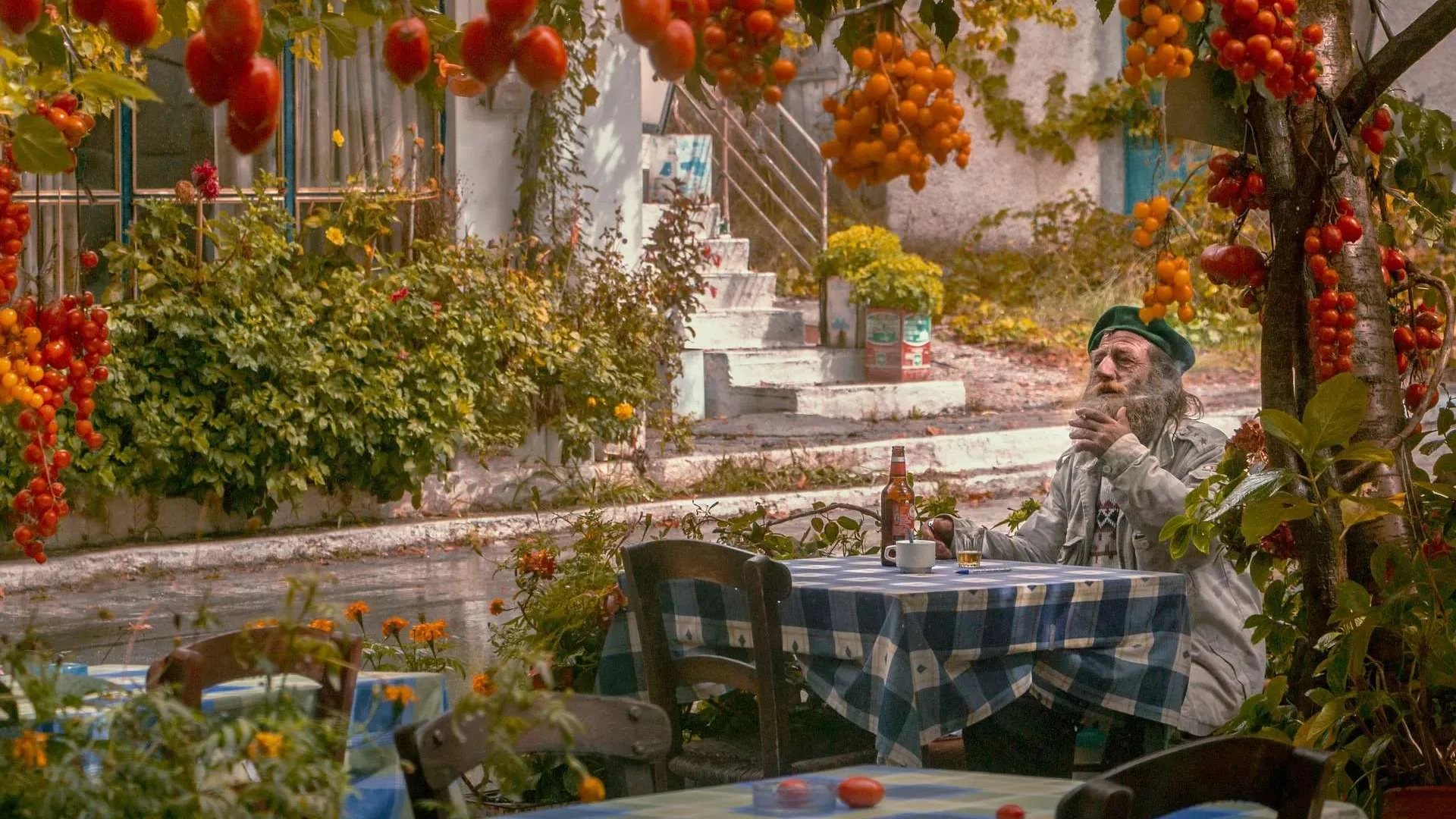 Mediterrane Küche und frische Zutaten als Hintergrundbild für die Rezepte